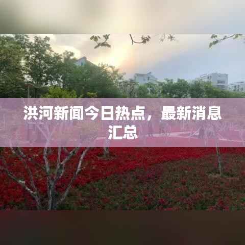 洪河新闻今日热点,最新消息汇总
