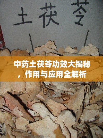 中药土茯苓功效大揭秘,作用与应用全解析