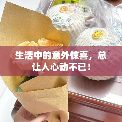 生活中的意外惊喜,总让人心动不已!