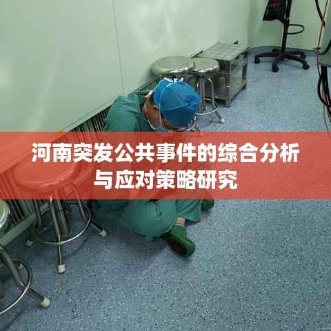 河南突发公共事件的综合分析与应对策略研究