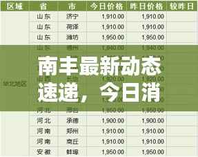 南丰最新动态速递，今日消息一网打尽！