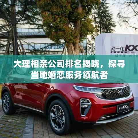 大理相亲公司排名揭晓,探寻当地婚恋服务领航者