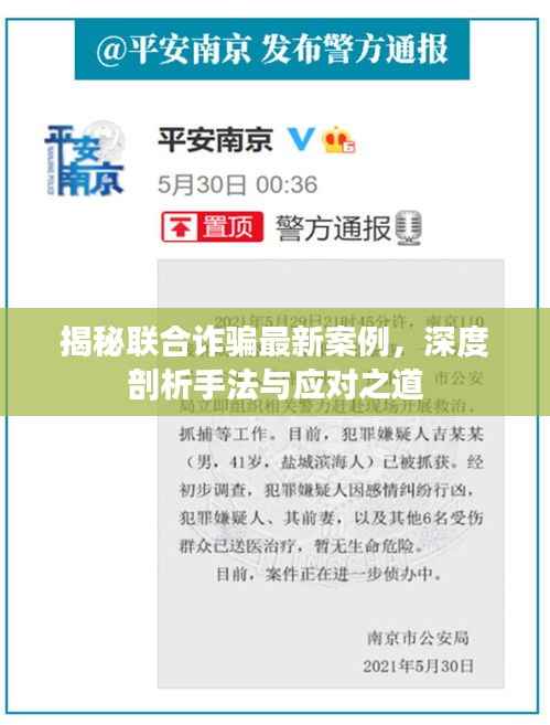 揭秘联合诈骗最新案例,深度剖析手法与应对之道
