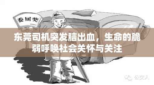 东莞司机突发脑出血,生命的脆弱呼唤社会关怀与关注