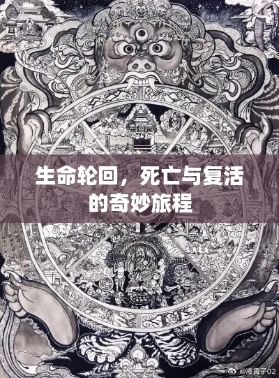 生命轮回,死亡与复活的奇妙旅程