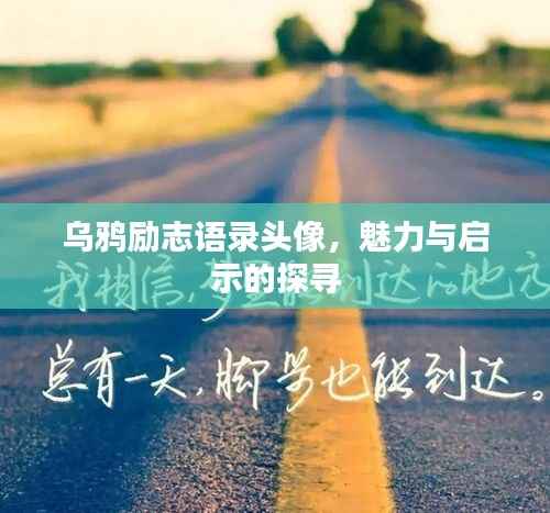 乌鸦励志语录头像,魅力与启示的探寻