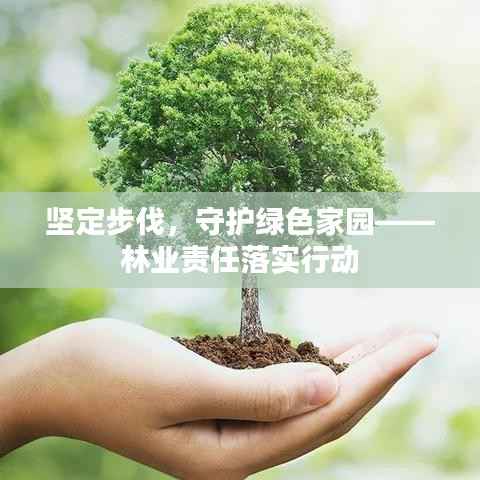坚定步伐,守护绿色家园——林业责任落实行动