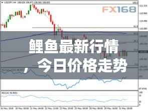 鲤鱼最新行情，今日价格走势分析与预测