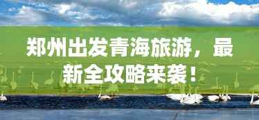 郑州出发青海旅游,最新全攻略来袭!