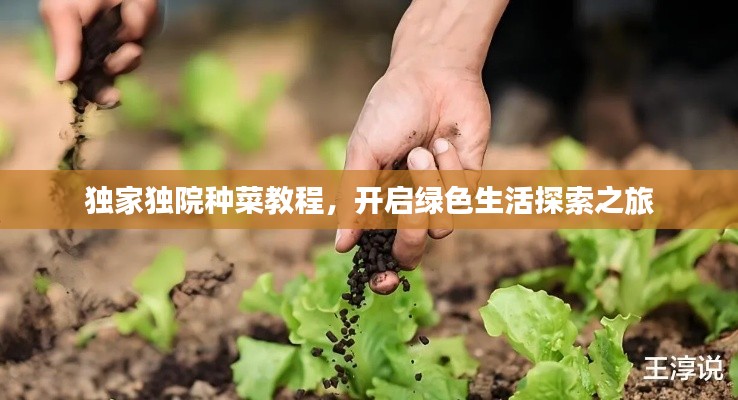 独家独院种菜教程,开启绿色生活探索之旅