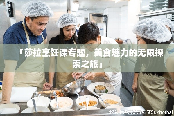 「莎拉烹饪课专题,美食魅力的无限探索之旅」