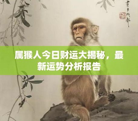 属猴人今日财运大揭秘,最新运势分析报告
