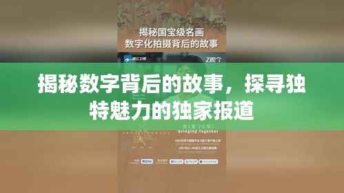 揭秘数字背后的故事,探寻独特魅力的独家报道