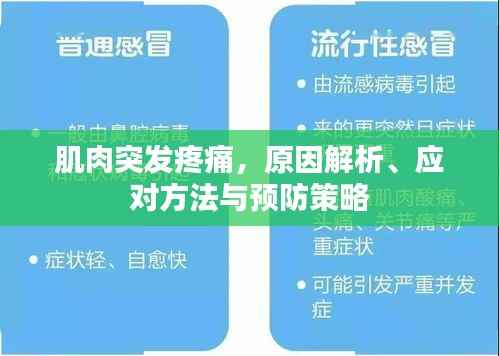肌肉突发疼痛,原因解析、应对方法与预防策略