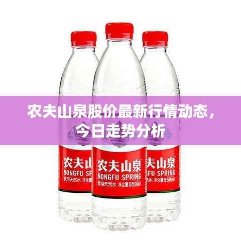农夫山泉股价最新行情动态，今日走势分析