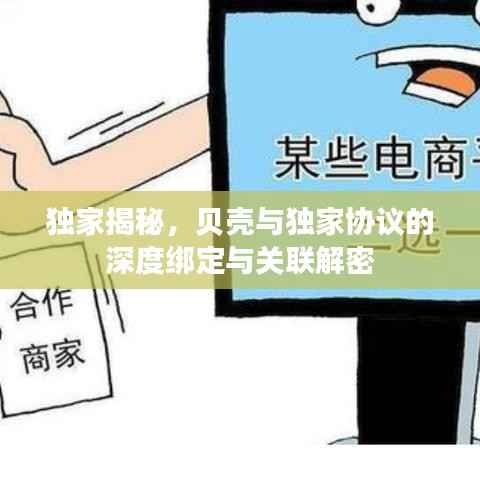 独家揭秘，贝壳与独家协议的深度绑定与关联解密