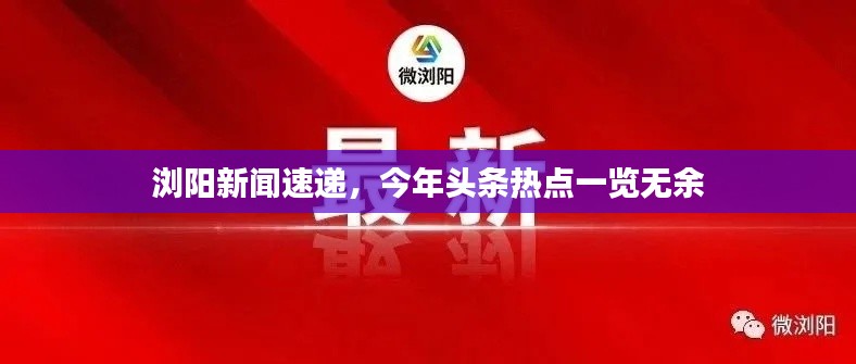浏阳新闻速递,今年头条热点一览无余