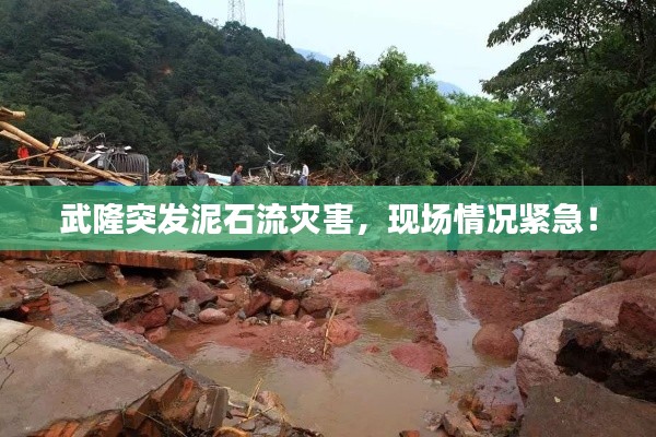 武隆突发泥石流灾害,现场情况紧急!